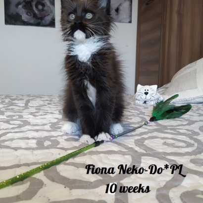 Fiona 10 weeks_2