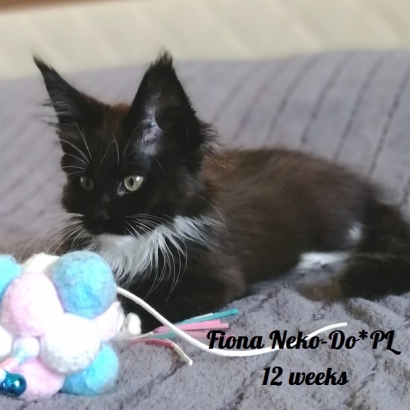 Fiona 12 weeks_8