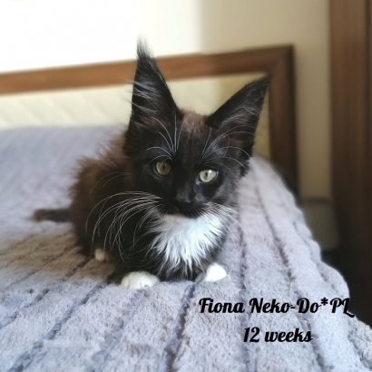Fiona 12 weeks_9