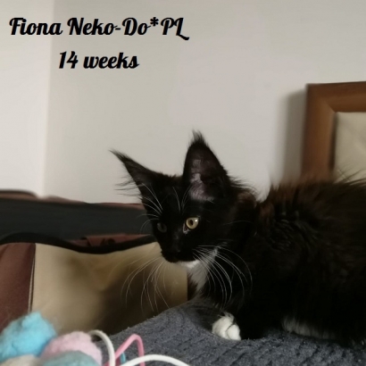 Fiona 14 weeks_3