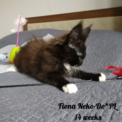 Fiona 14 weeks_8