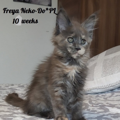 Freya 10 weeks_4