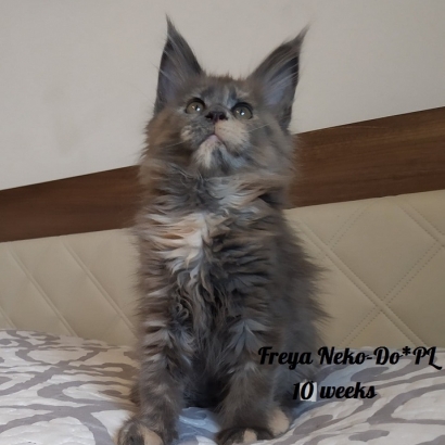 Freya 10 weeks_7