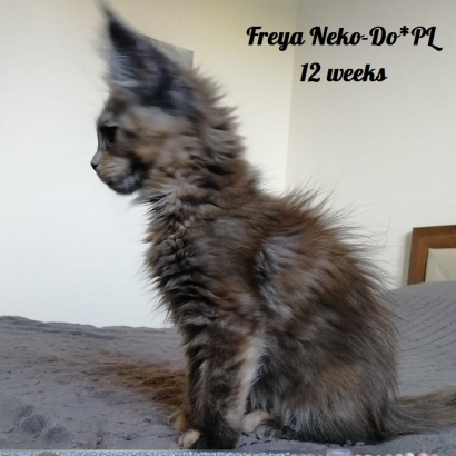 Freya 12 weeks_1