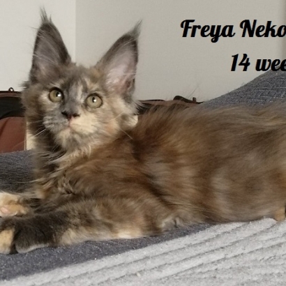 Freya 14 weeks_1
