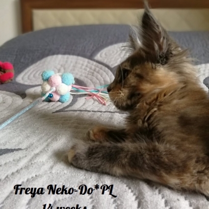 Freya 14 weeks_4