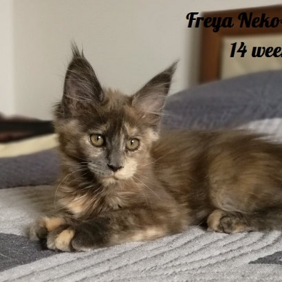 Freya 14 weeks_5