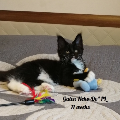 Galen 11 weeks_6