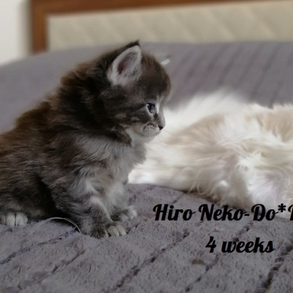 Hiro-Neko-Do*PL_3